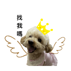 我的寶貝陳妹妹