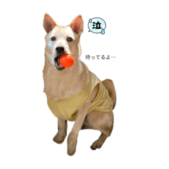 kii_20220529164437