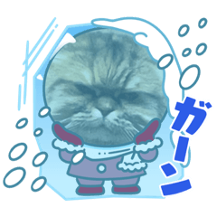 sachiko_20220529185718