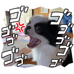 CHIRORU_vol.2