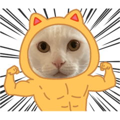 sironeko_20220529220431