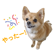 hana's stamp part3