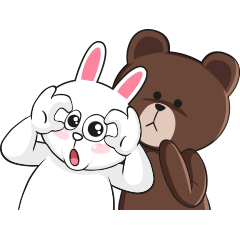 Brown and Cony x NCN