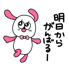 fusigi rabbit