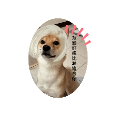 搞笑的小琥