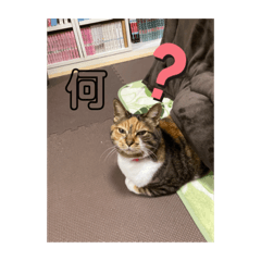 yuina_20220529200556