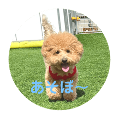 chan_qoo_1