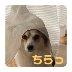 junko_20220529192842