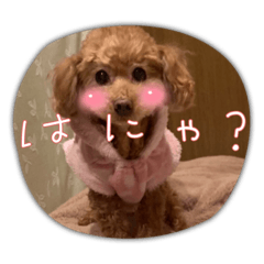 natsumi_20220530095914