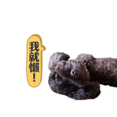 哩哩の日常