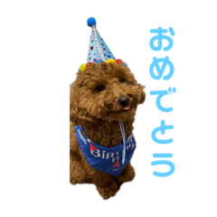 akissy_20220529210210