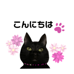 Hana-chan vol.1 - LINE スタンプ | LINE STORE