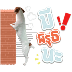 Tua-ngork and friends