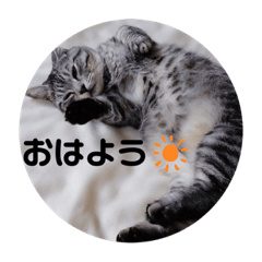 misa_20220529213436