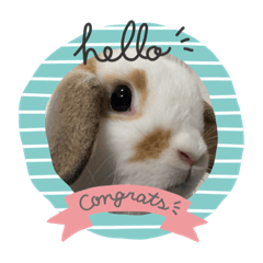 kinaco_20220529214113