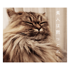 hikari_20220530124447