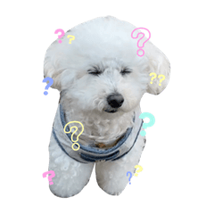 Sachiko_20220529234446