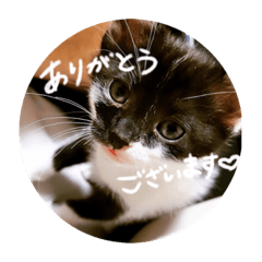 aoi_20220530012019