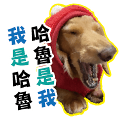 我是臘腸狗-哈魯