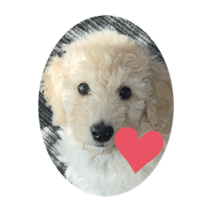 bella_20220530140017