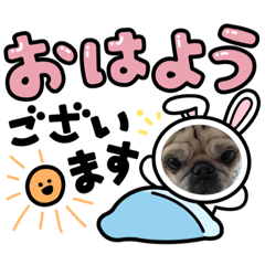 junko_20220530011252