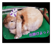 roppu!