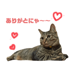 KAORI_20220530203733