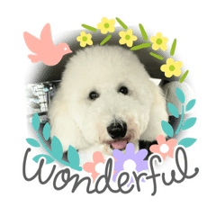 bella_20220530200651