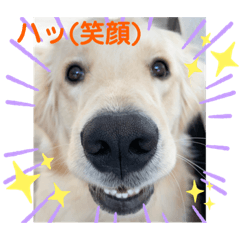 ai_20220530185106