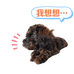 哩哩の每一天