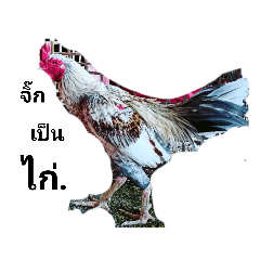 Somsak_20220530154231