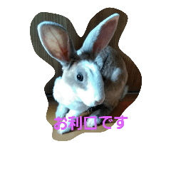 sister rettyan 2