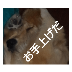 Hana_20220531120909