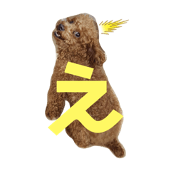 risa_20220531003719
