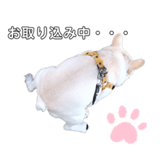 INAMINE_20220531004015