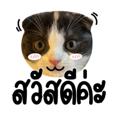 น้องหมาจอมซน :3