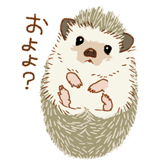 Kawaii Hedgehogs Line Stickers Line Store