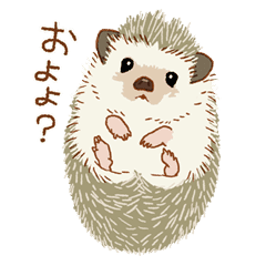 Kawaii Hedgehogs Line Stickers Line Store