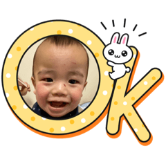 かめのこーくん