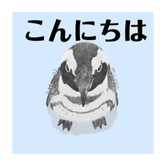 Kamiariduki_20220531113100