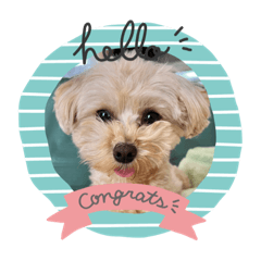 Natsumi_20220531145427