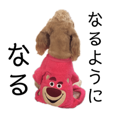 Mizuki_20220531153555