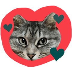 HIYORI_20220531161236