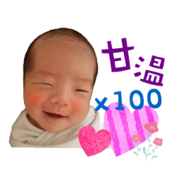 小雞米的日常