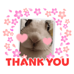 米菲兔的Q萌日常2