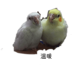 玄鳳2
