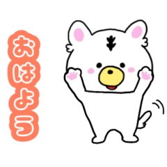 everyday WANWANKO