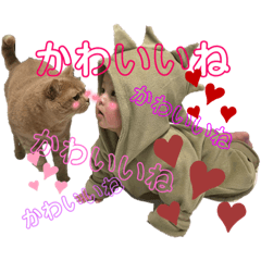 RINA_20220531214522