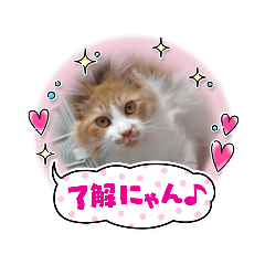 NATSUMI_20220531224206