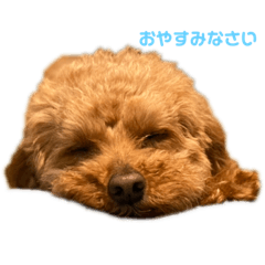 misa_20220531220015